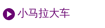 小马拉大车